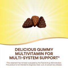 Nature's Way Alive! gummies bottle side label highlights vitamins