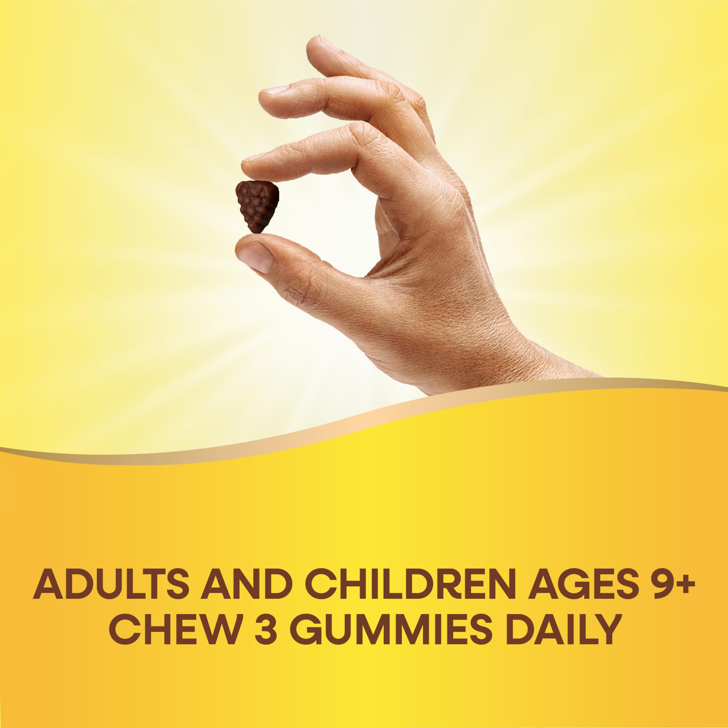 Nature's Way Alive! ingredients chart showing plant-based, gluten-free formula