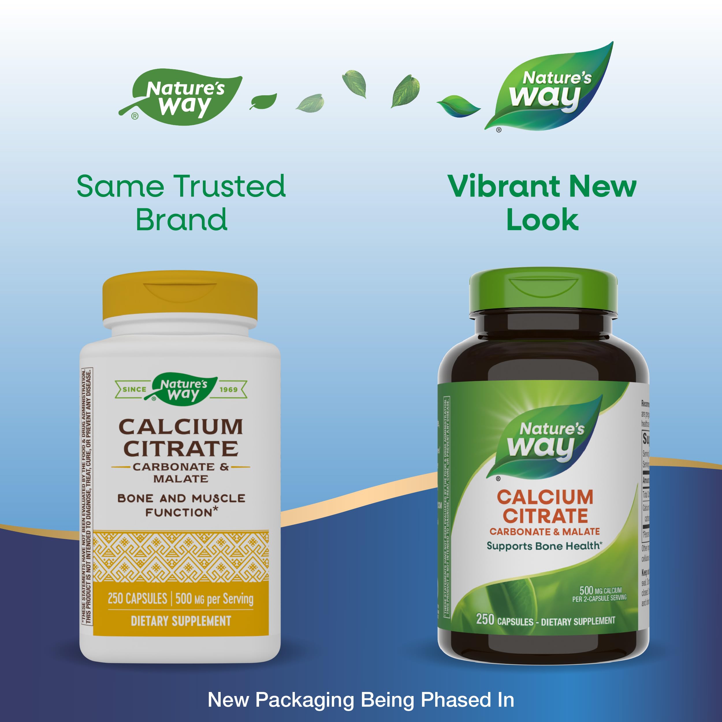 Close-up of Nature's Way Calcium Citrate capsules prepared as a two-capsule serving.