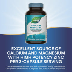 Three-capsule serving graphic highlighting zinc potency