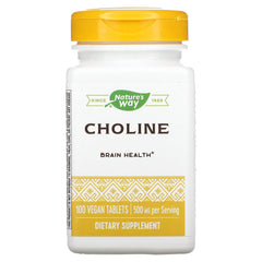 Nature's Way Choline 500mg bottle for daily brain-support use