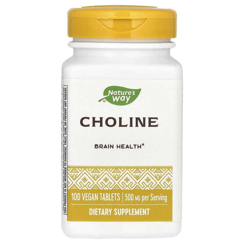 Nature's Way Choline 500mg label facts reveal dosage and ingredients for informed use