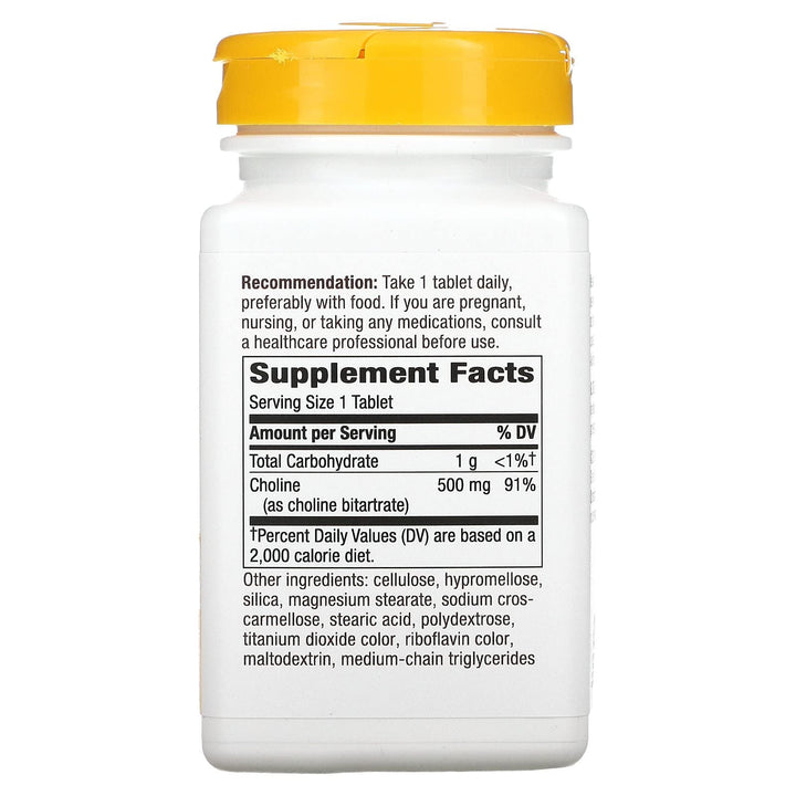 Nature's Way Choline 500mg tablet closeup highlights precise daily dose