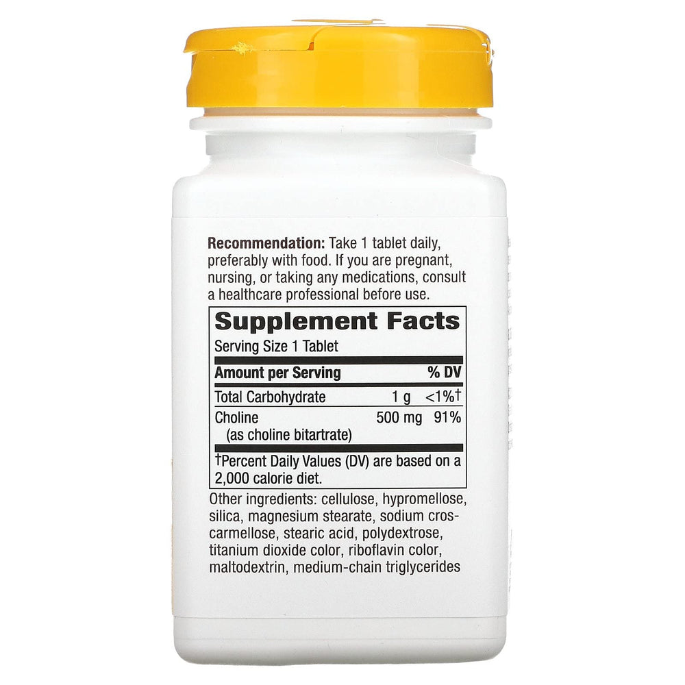 Nature's Way Choline 500mg tablet closeup highlights precise daily dose