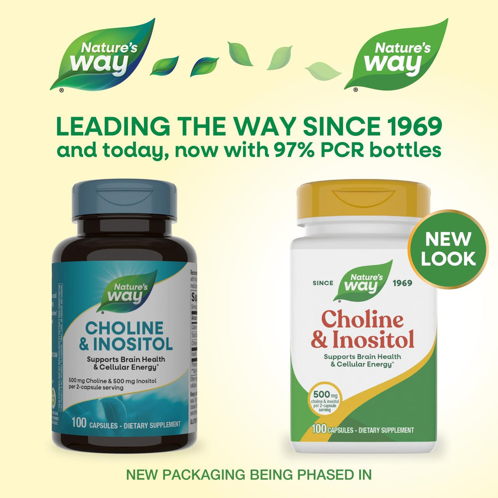 Nature's Way Choline & Inositol bottle label close-up highlighting 500 mg per serving