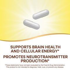 Nature's Way Choline & Inositol capsules close-up, convenient two-capsule serving