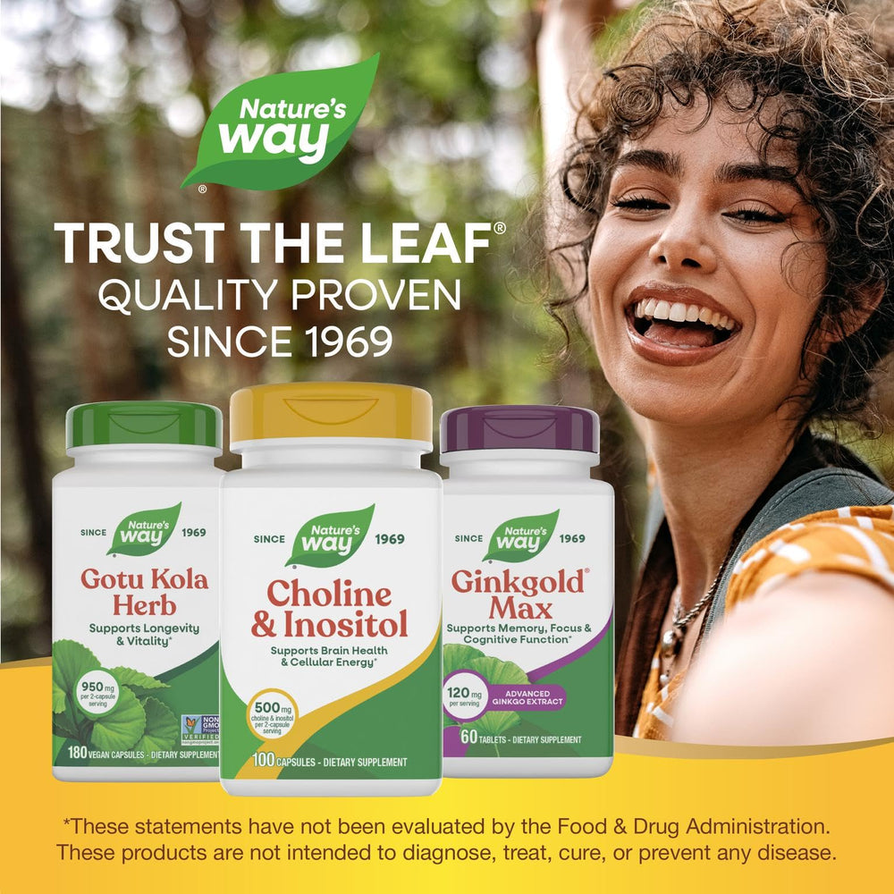Nature's Way Choline & Inositol ingredients panel with 500 mg amounts