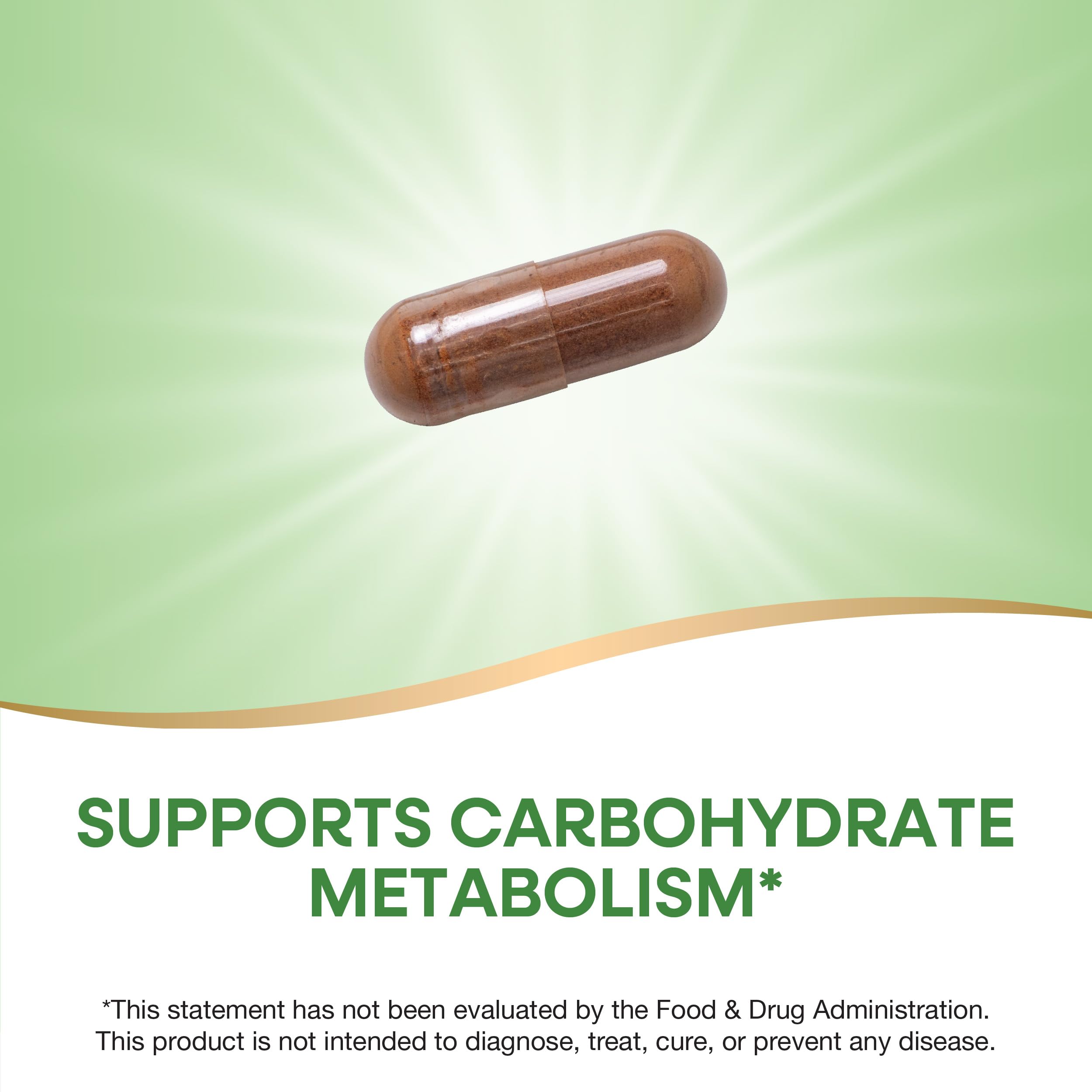 Nature's Way Cinnamon Premium Extract bottle close-up for easy daily use.
