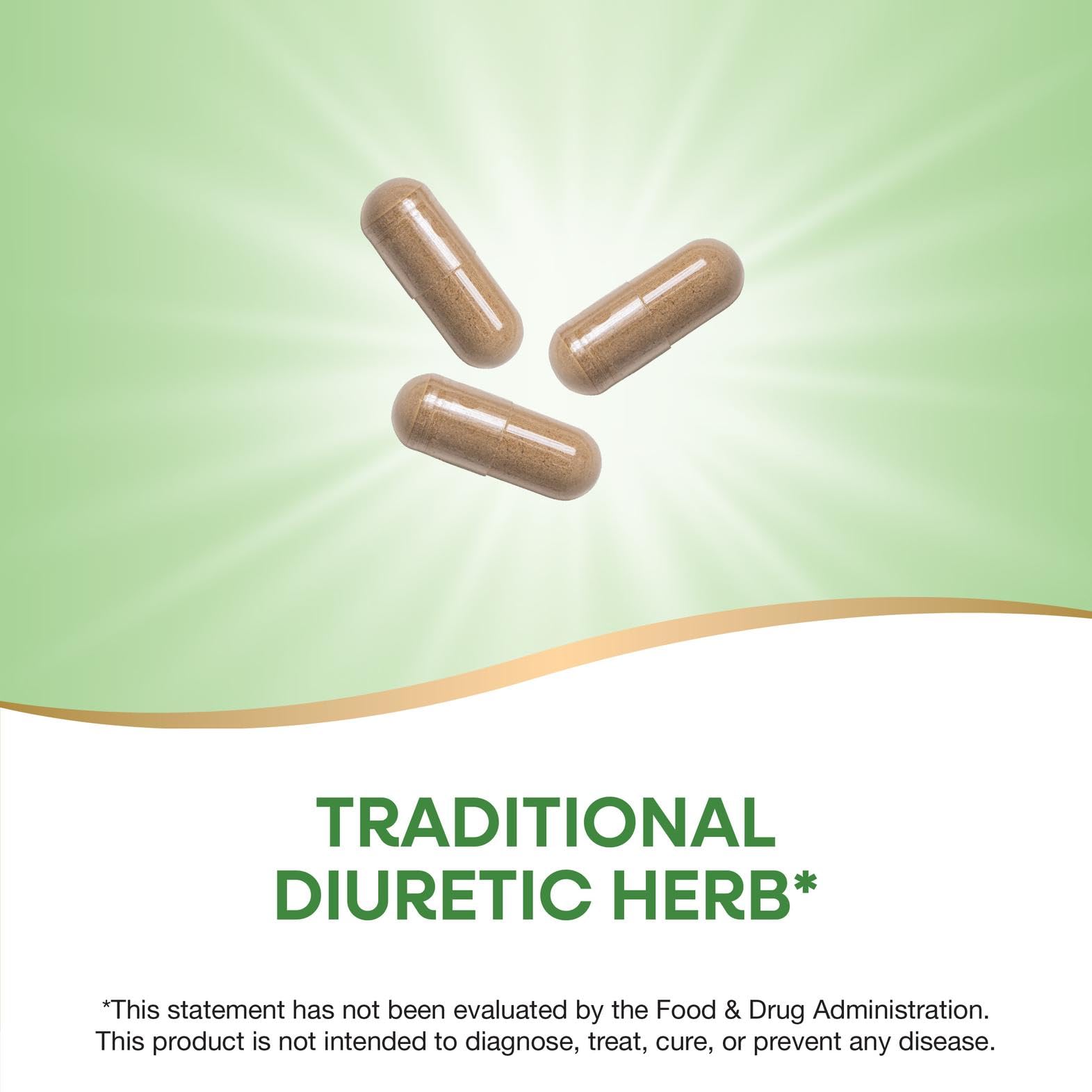 Nature's Way Dandelion Root bottle back shows usage notes and ingredients