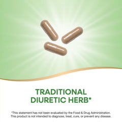 Nature's Way Dandelion Root bottle back shows usage notes and ingredients