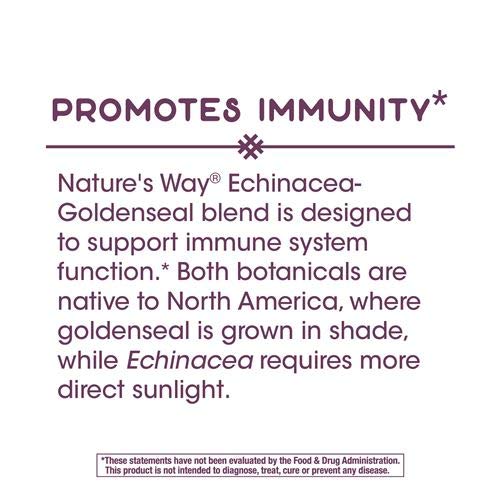 Dispensing cap enables controlled dosing for Nature's Way Echinacea Goldenseal.