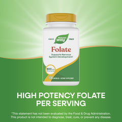 Nature's Way Folic Acid bottle on shelf signals trusted daily supplement