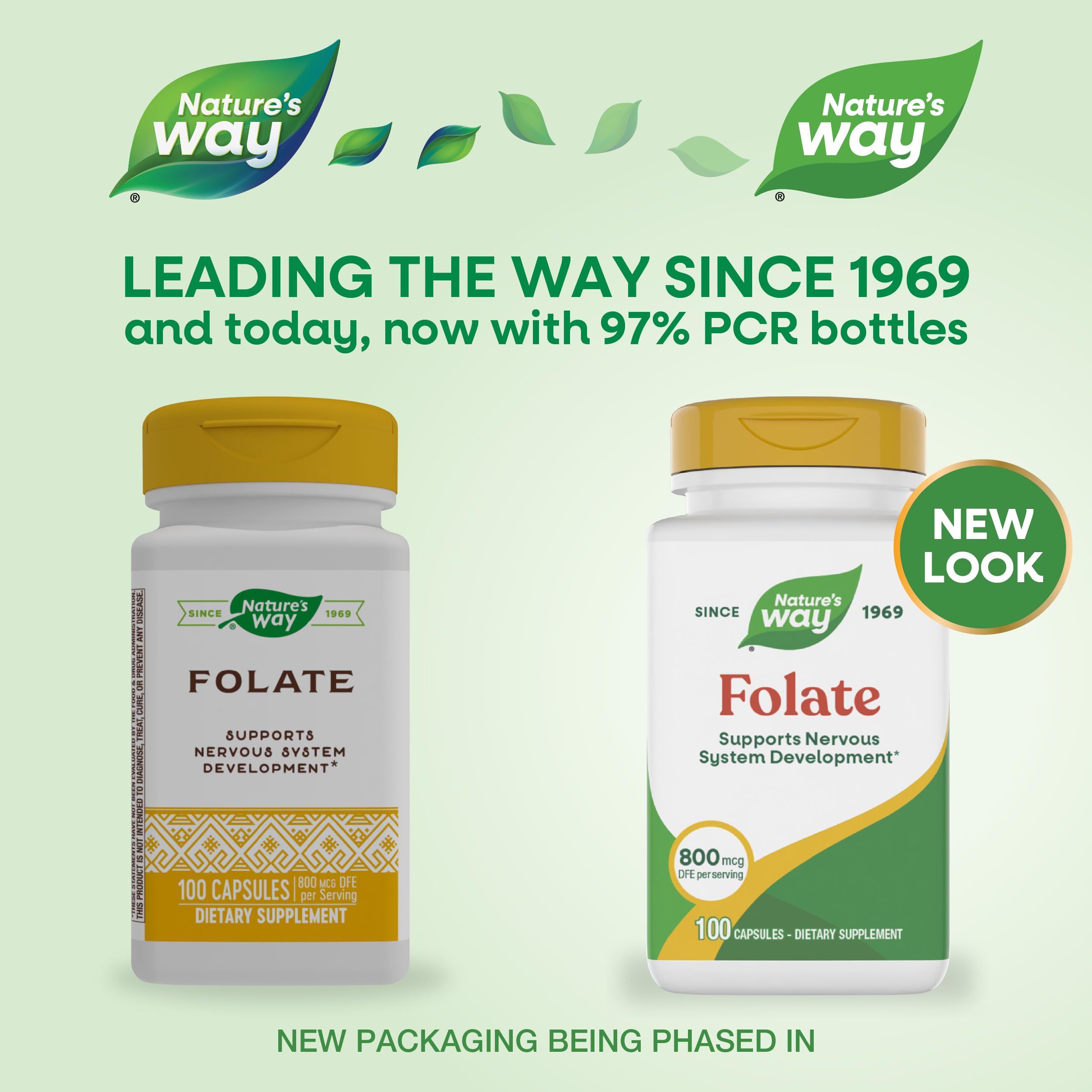 Nature's Way Folic Acid capsules close-up highlighting easy-to-swallow capsules