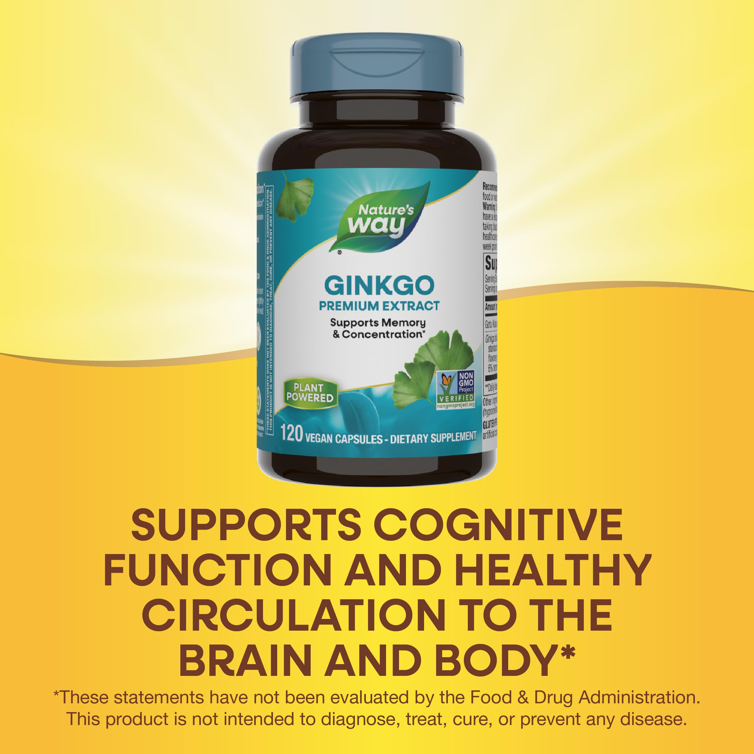 Nature's Way Ginkgo 24% flavone glycosides highlight standardized potency.