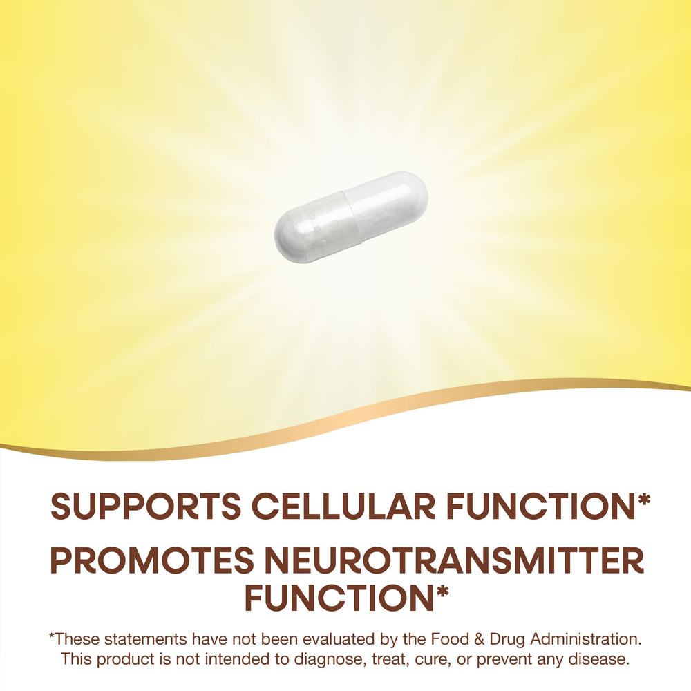 Nature's Way Inositol cap serving highlights phospholipid precursor benefits.