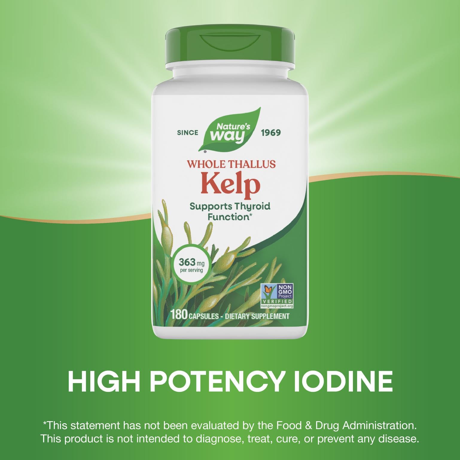 Sustainably sourced Nova Scotia kelp supporting responsible harvesting