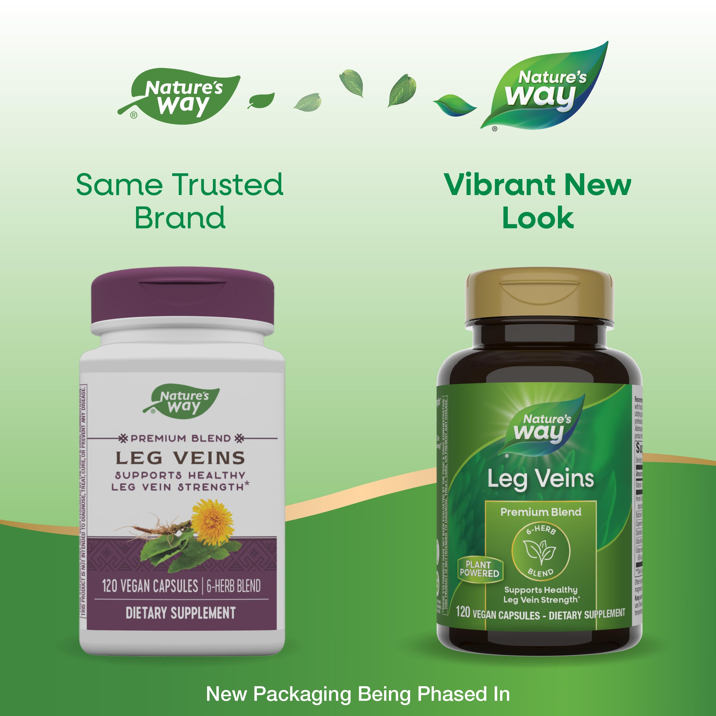 Nature's Way Leg Veins ingredients blend closeup featuring horse chestnut and grape seed