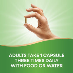 Nature's Way Milk Thistle bottle with glass of water for daily routine.
