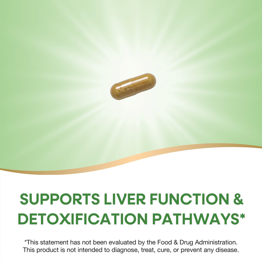 Nature's Way Milk Thistle seed extract 80% silymarin highlights potency.