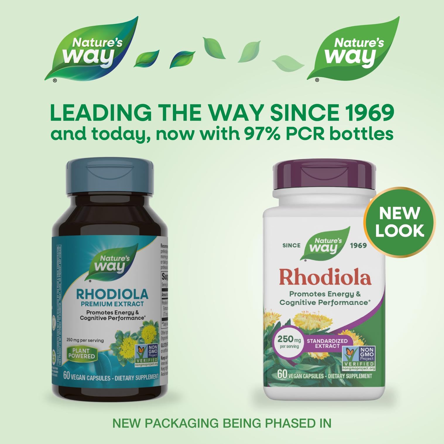 Rhodiola capsules closeup ready for easy daily dosing.