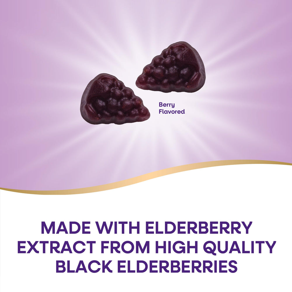Nature's Way Sambucus elderberry extract ingredients, highlighting antioxidant-rich berries.