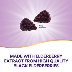 Nature's Way Sambucus elderberry extract ingredients, highlighting antioxidant-rich berries.
