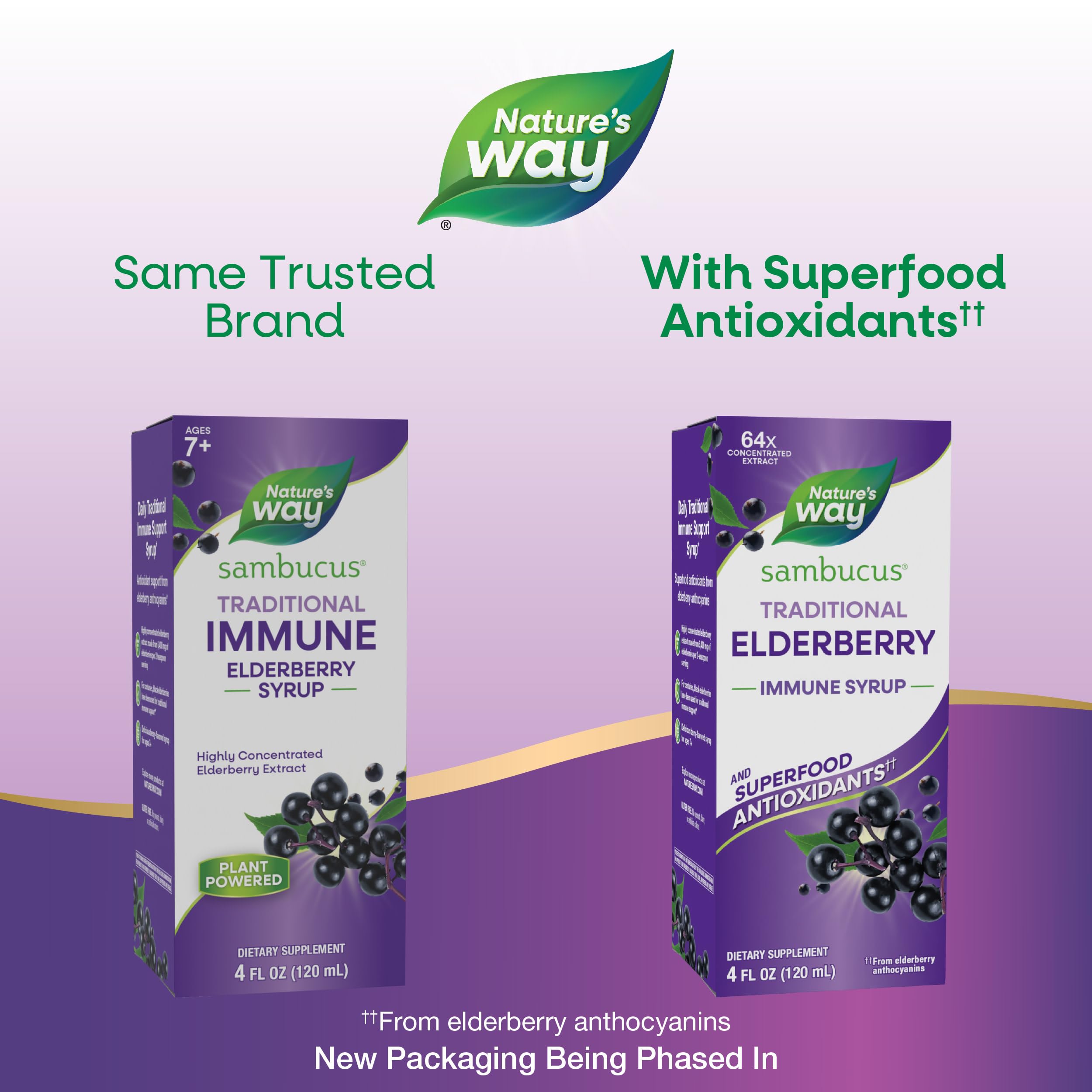 Close-up of Nature's Way Sambucus label highlights elderberry extract and anthocyanins.
