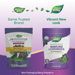 Nature's Way Sambucus Zinc Lozenges elderberry detail highlighting flavonoid-rich extract.