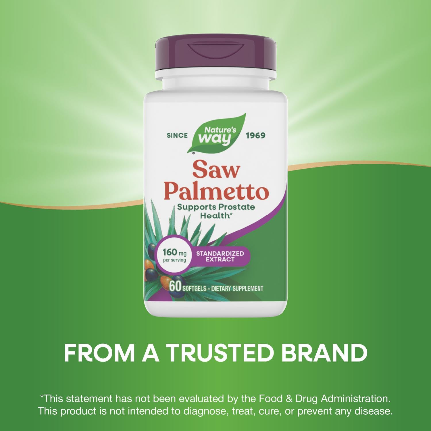 Close-up of Nature's Way softgel capsules for daily use.