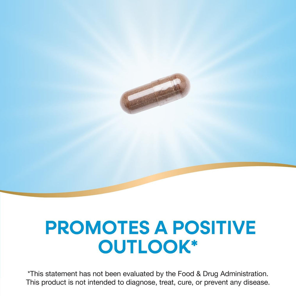 Capsules close-up showing smooth texture for daily routine