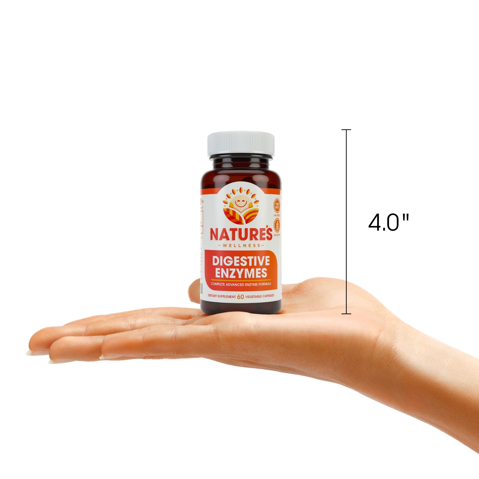 Natures Wellness Digestive Enzymes Complete serving highlights gut support potential.