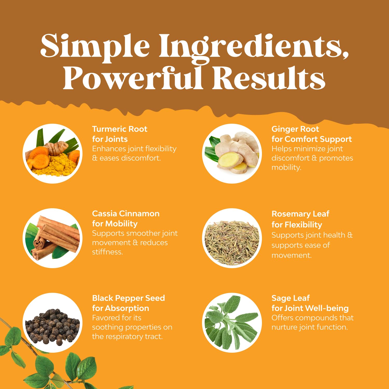 2oz turmeric bottle resting on wood, ready for home or travel use.