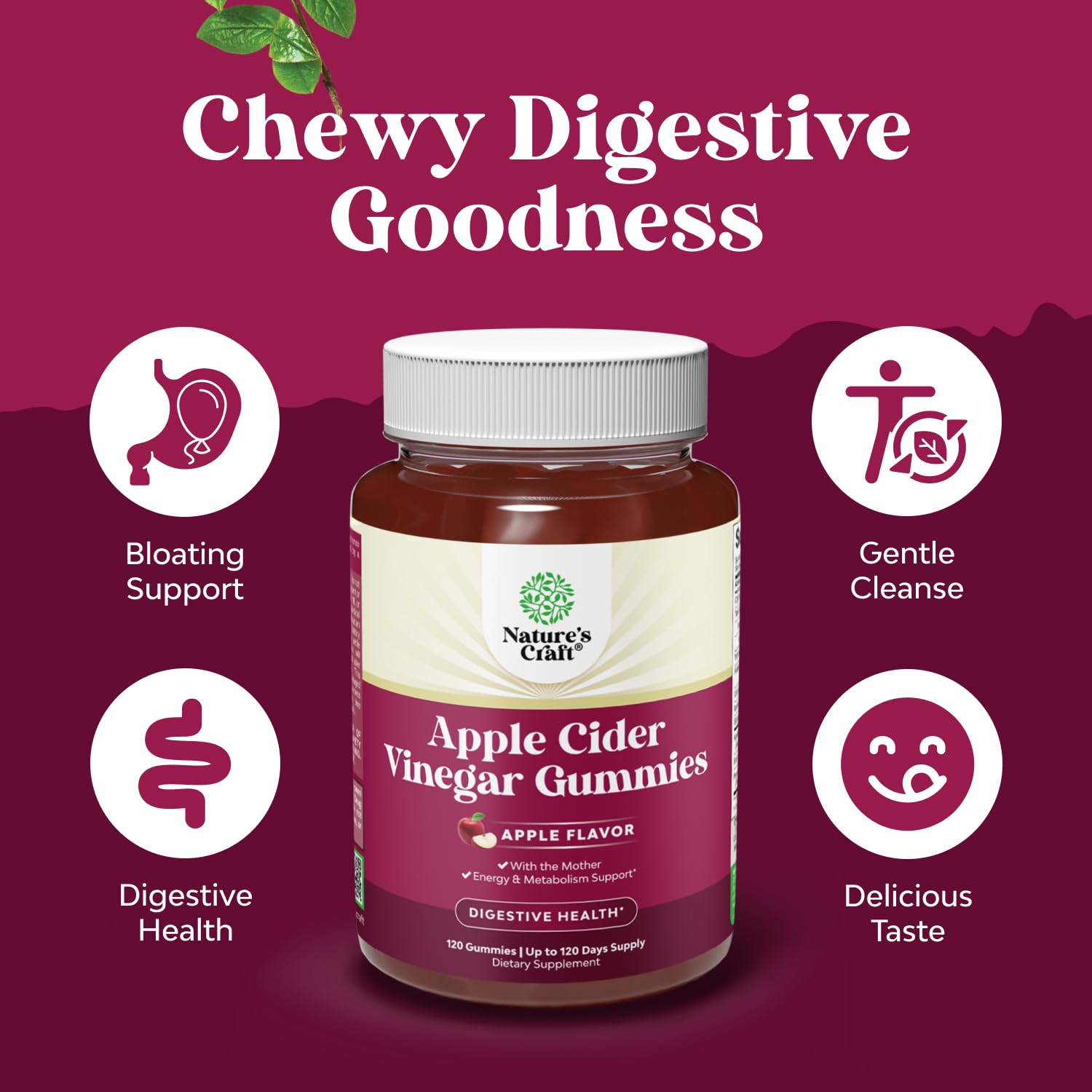 Natures Craft ACV gummies with pomegranate juice powder accents vibrant ingredients