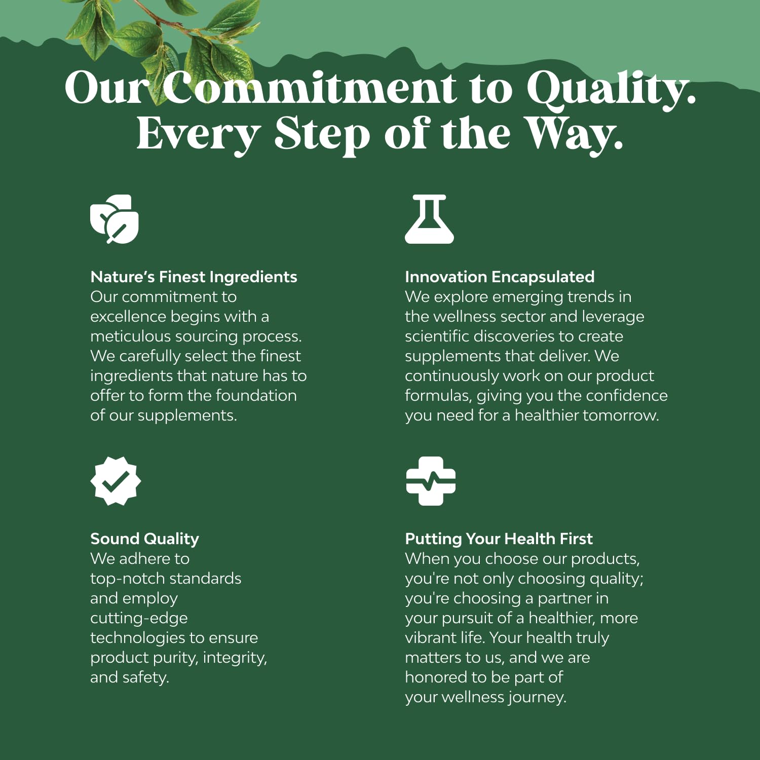 Nature's Craft GMP facility seal indicating quality and safety