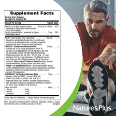 Pumpkin seed and saw palmetto components; may support prostate health.