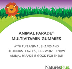 NaturesPlus Animal Parade assorted flavors pack: cherry, grape, orange for tasty daily nutrition.
