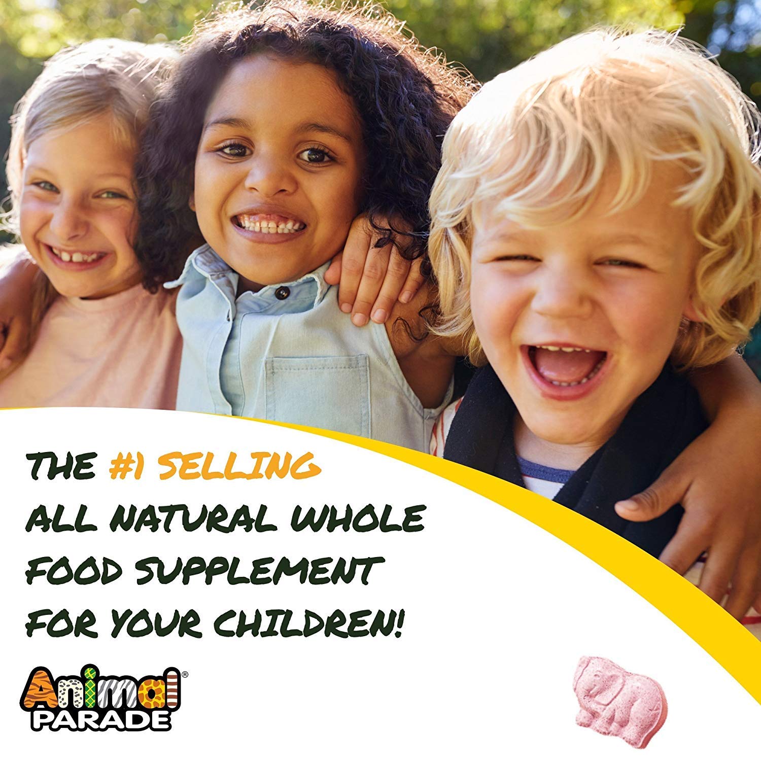 NaturesPlus Animal Parade MagKidz pack of 2 bottles for ongoing daily magnesium support.