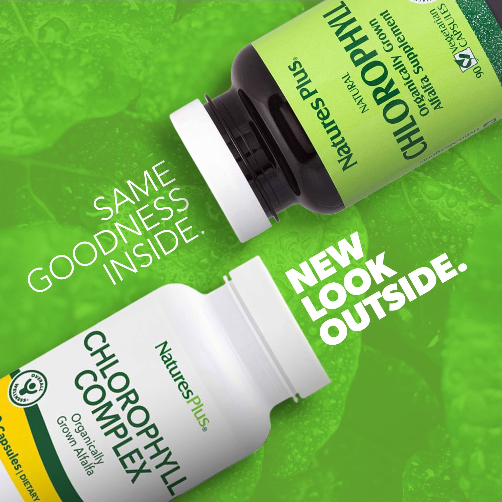 NaturesPlus Chlorophyll Complex bottle back shows ingredients and serving info.