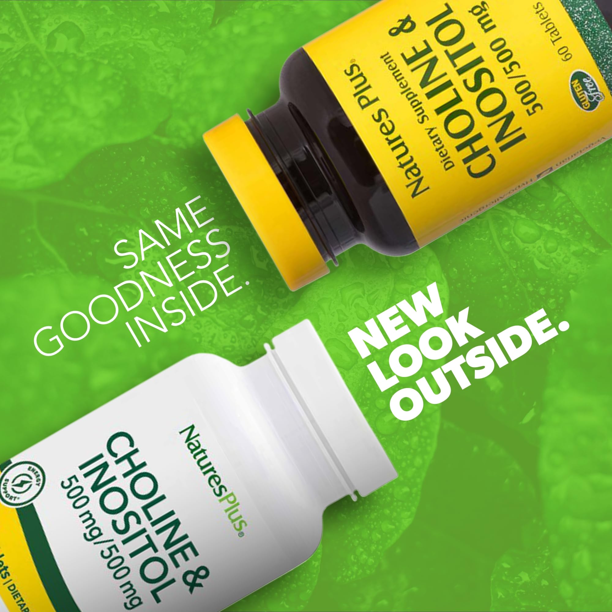 NaturesPlus Choline & Inositol capsules support brain function and energy metabolism.
