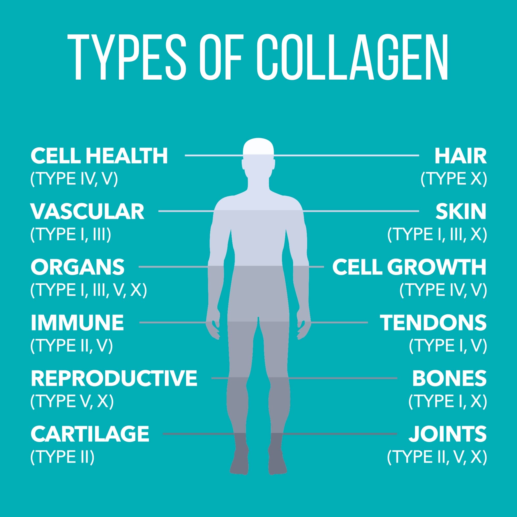 Ingredients panel showing grass-fed collagen and other clean sources