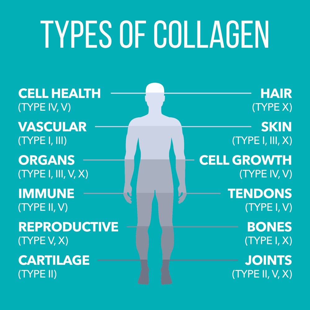 Ingredients panel showing grass-fed collagen and other clean sources