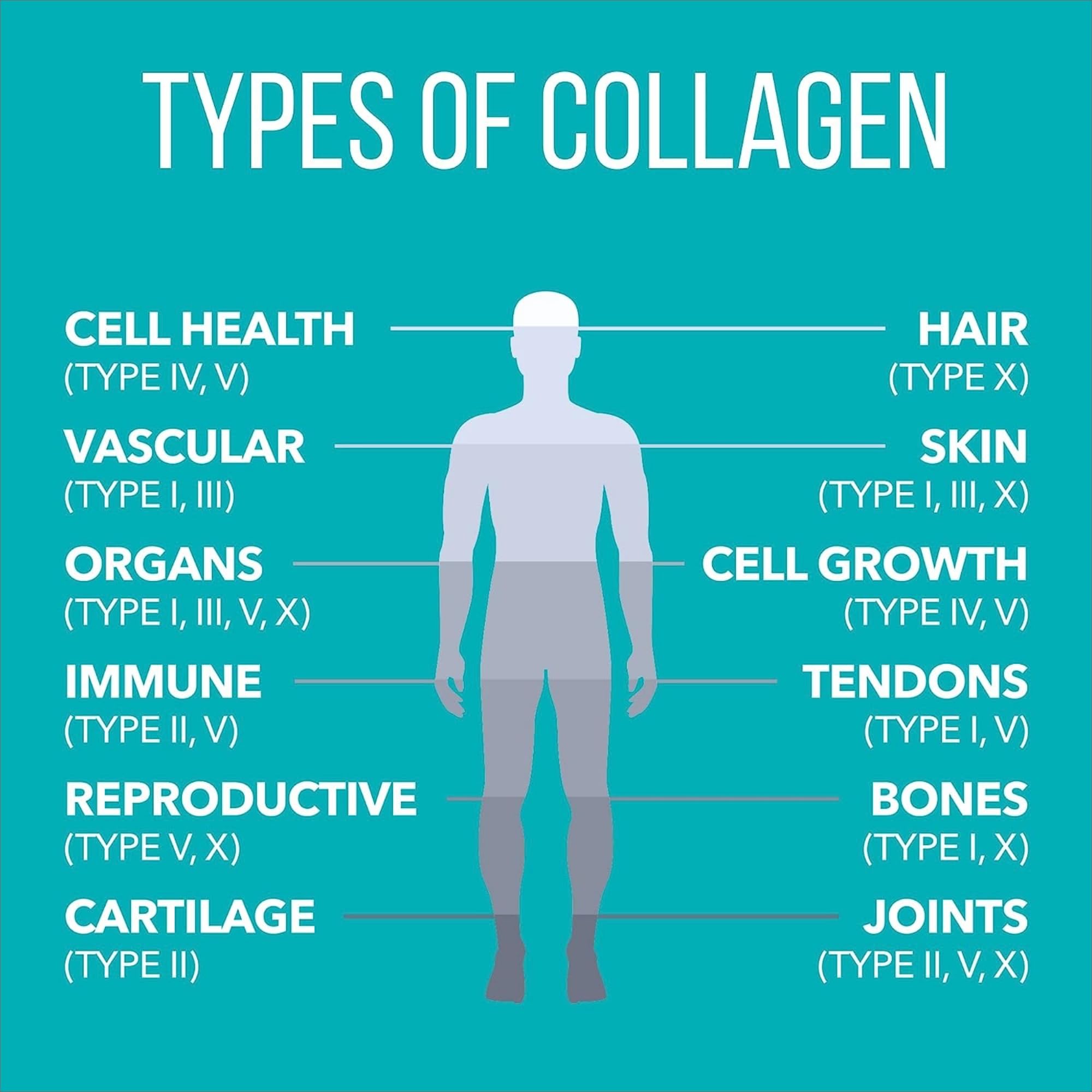 Pack of two bottles highlighting value and easy health routine.