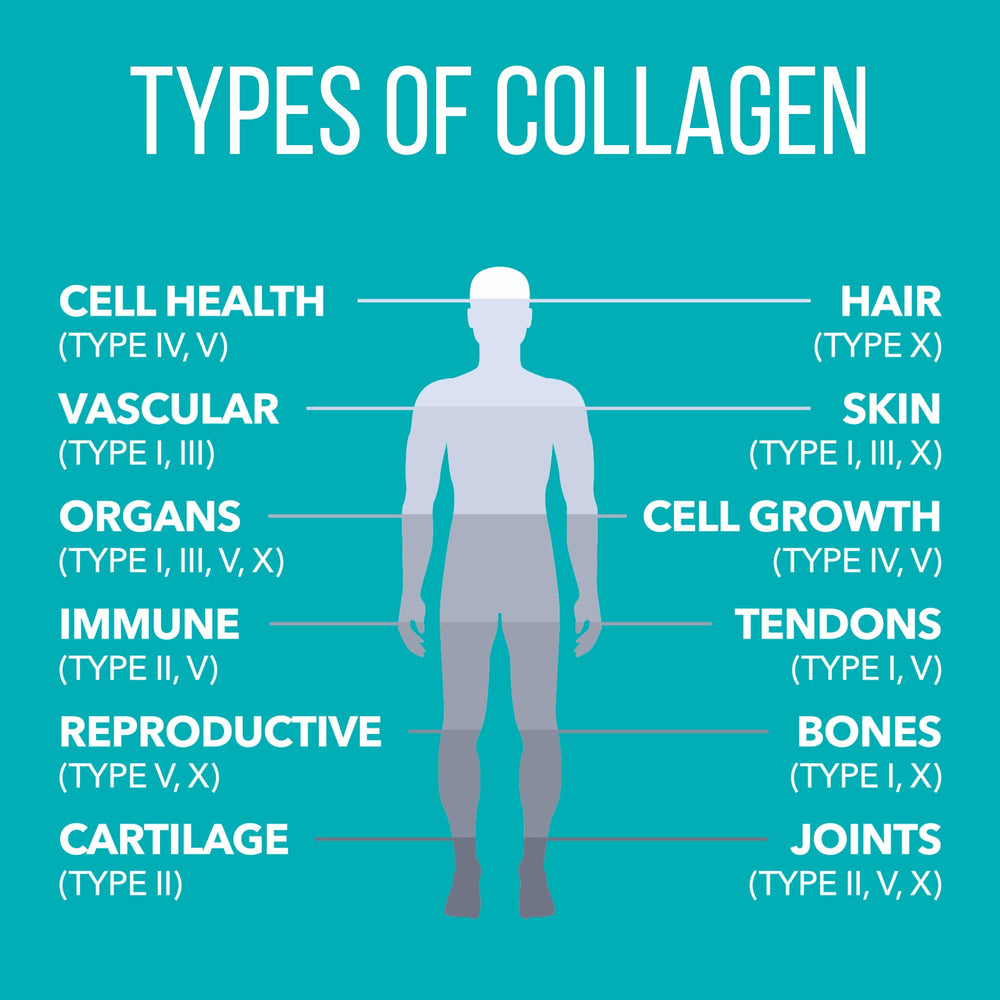 Nature's Plus Collagen Peptides glass with liquid shows easy mixability.