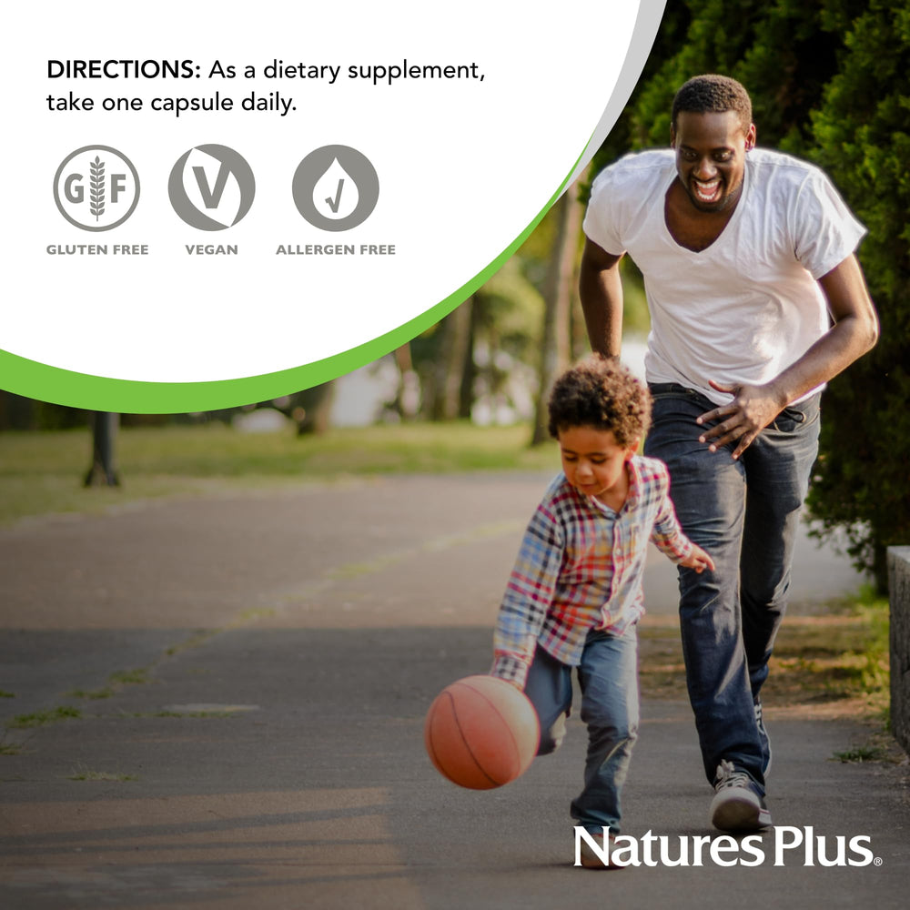 NaturesPlus DHEA-10 pack collection – 90 servings in bottle