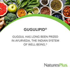 NaturesPlus Gugulipid label-closeup highlighting standardized 2.5% guggulsterones for potency.