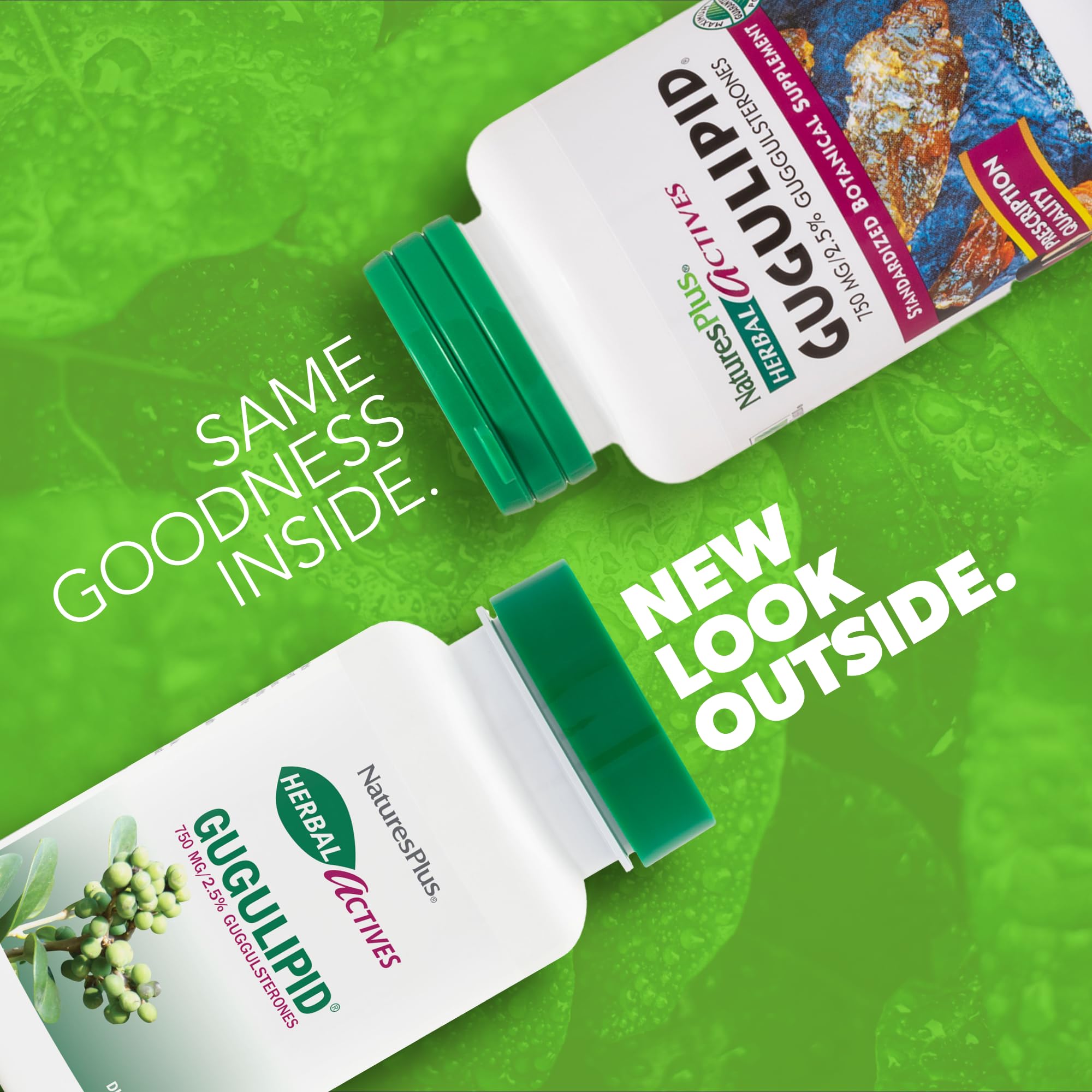 NaturesPlus Gugulipid capsules close-up, showcasing pure plant-based capsules for everyday wellness