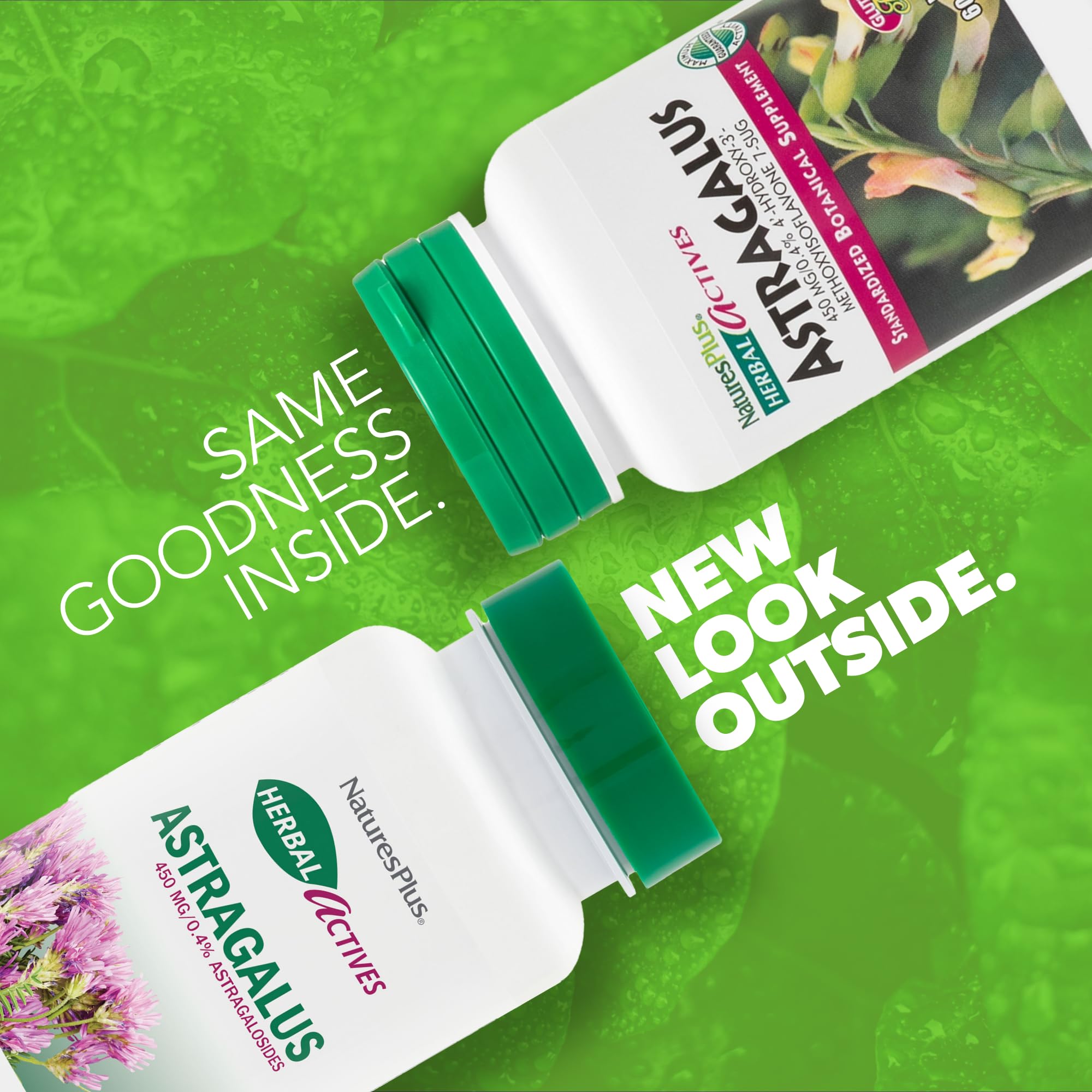 NaturesPlus Herbal Actives Astragalus capsules close-up emphasizes standardized astragalus for consistent activity.