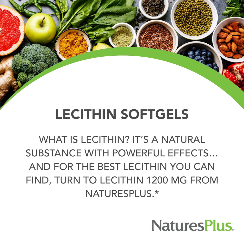 Graphic highlighting 58-60% soy phosphatides in NaturesPlus Lecithin