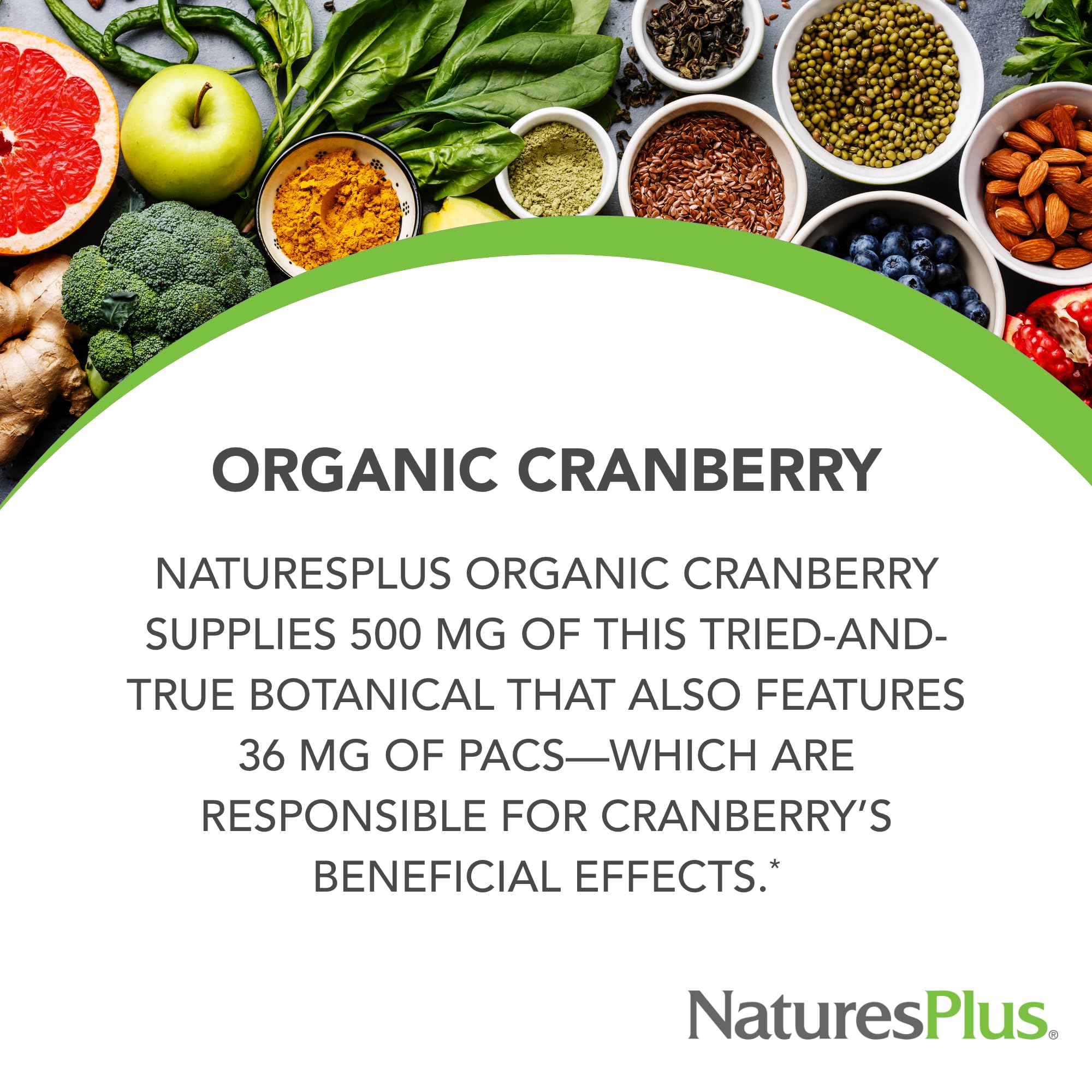 NaturesPlus Organic Cranberry capsules close-up showing 500 mg dosage for daily use