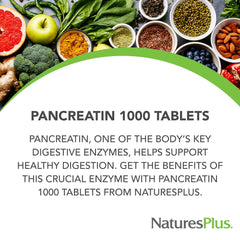 NaturesPlus Pancreatin enzyme trio highlighted, featuring amylase, protease and lipase action.